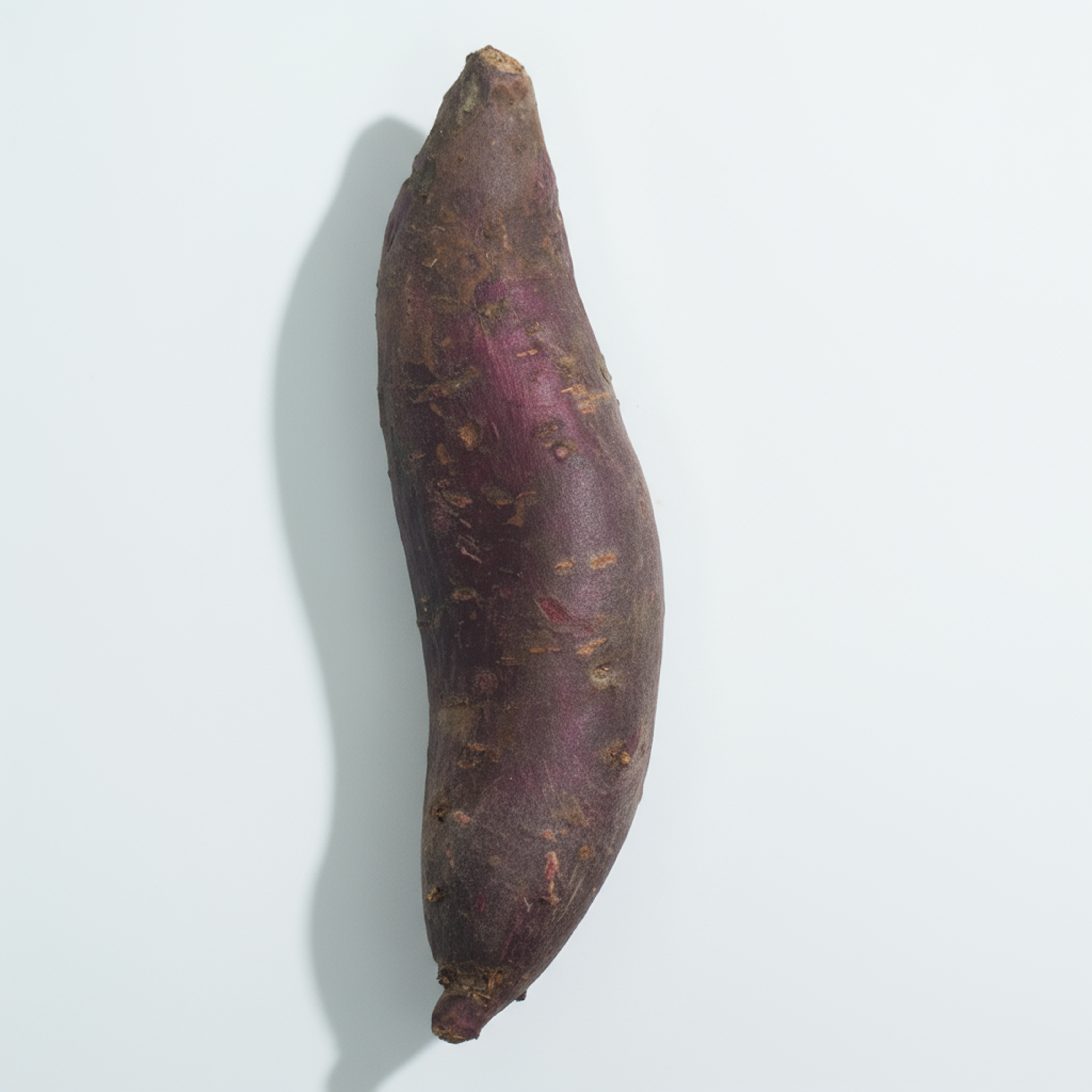 Tubérculo de batata doce com casca rosada, polpa clara, rico em fibras e antioxidantes